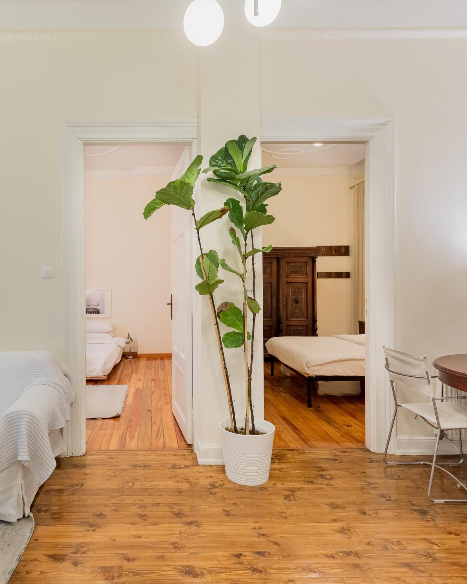 #Magnolia Apt By Halu! Apartments Солун Екстериор снимка